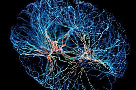 Neuroplasticity dan terapi cermin